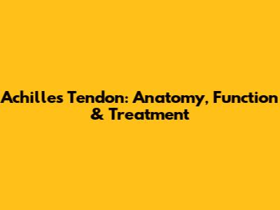 Achilles Tendon: Anatomy, Function & Treatment