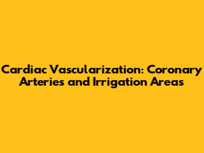 Cardiac Vascularization: Coronary Arteries and Irrigation Areas