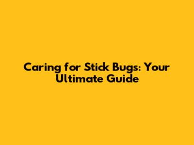 Caring for Stick Bugs: Your Ultimate Guide