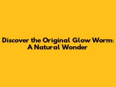 Discover the Original Glow Worm: A Natural Wonder