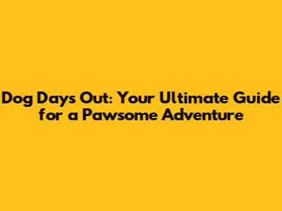Dog Days Out: Your Ultimate Guide for a Pawsome Adventure