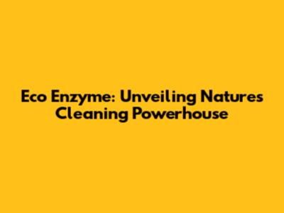 Eco Enzyme: Unveiling Nature's Cleaning Powerhouse