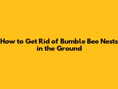 How to Get Rid of Bumble Bee Nests in the Ground