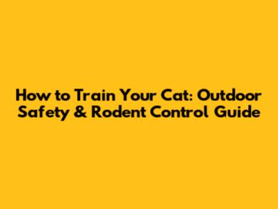 How to Train Your Cat: Outdoor Safety & Rodent Control Guide