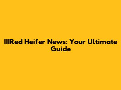 IIIRed Heifer News: Your Ultimate Guide