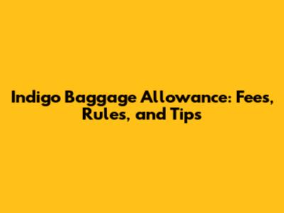 Indigo Baggage Allowance: Fees, Rules, and Tips
