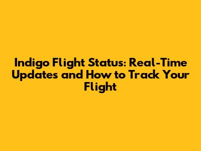 Indigo Flight Status: Real-Time Updates and How to Track Your Flight