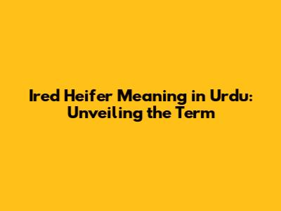 Ired Heifer Meaning in Urdu: Unveiling the Term