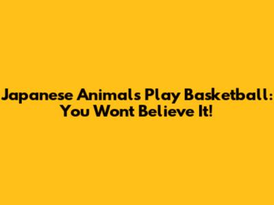 Japanese Animals Play Basketball: You Won't Believe It!