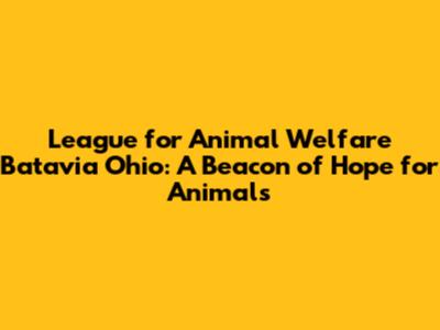 League for Animal Welfare Batavia Ohio: A Beacon of Hope for Animals