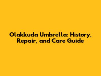 Olakkuda Umbrella: History, Repair, and Care Guide