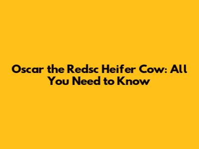 Oscar the Redsc Heifer Cow: All You Need to Know