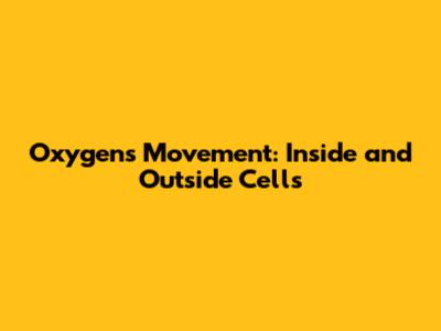 Oxygen's Movement: Inside and Outside Cells