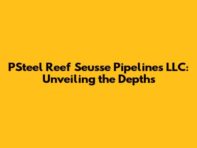 PSteel Reef Seusse Pipelines LLC: Unveiling the Depths