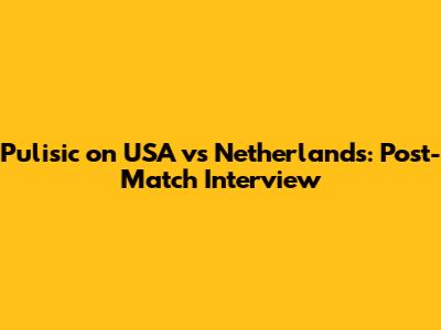 Pulisic on USA vs Netherlands: Post-Match Interview