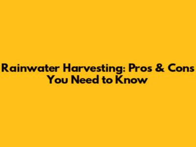 Rainwater Harvesting: Pros & Cons You Need to Know