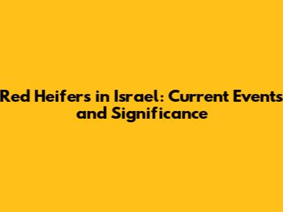 Red Heifers in Israel: Current Events and Significance