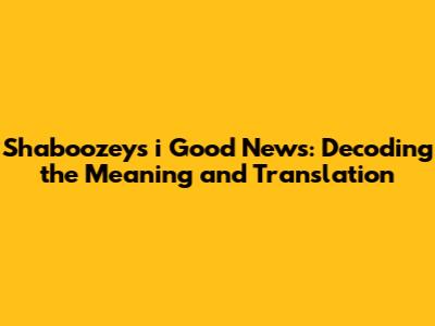 Shaboozey's "i Good News": Decoding the Meaning and Translation