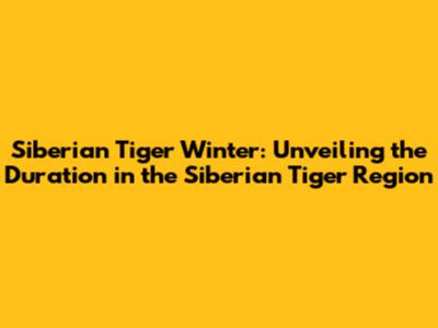 Siberian Tiger Winter: Unveiling the Duration in the Siberian Tiger Region