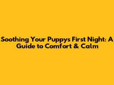 Soothing Your Puppy's First Night: A Guide to Comfort & Calm