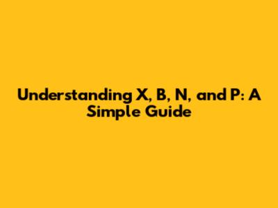 Understanding X, B, N, and P: A Simple Guide