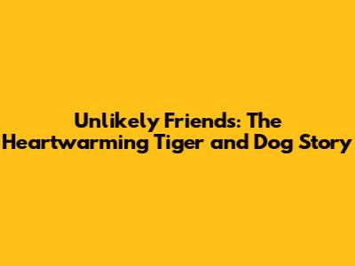 Unlikely Friends: The Heartwarming Tiger and Dog Story