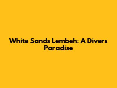 White Sands Lembeh: A Diver's Paradise