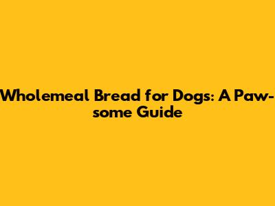 Wholemeal Bread for Dogs: A Paw-some Guide