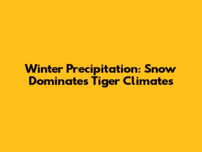 Winter Precipitation: Snow Dominates Tiger Climates