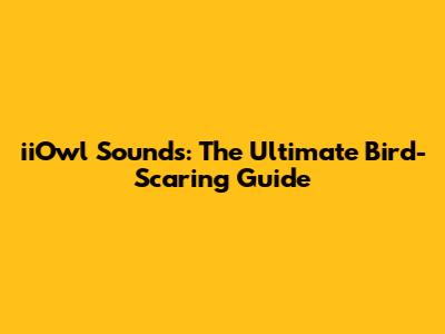 iiOwl Sounds: The Ultimate Bird-Scaring Guide