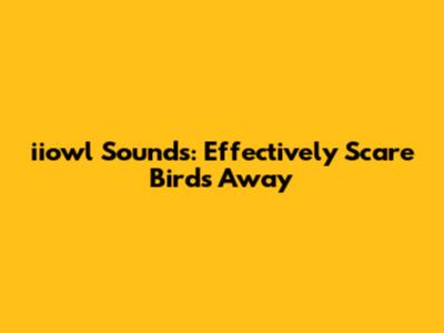 iiowl Sounds: Effectively Scare Birds Away